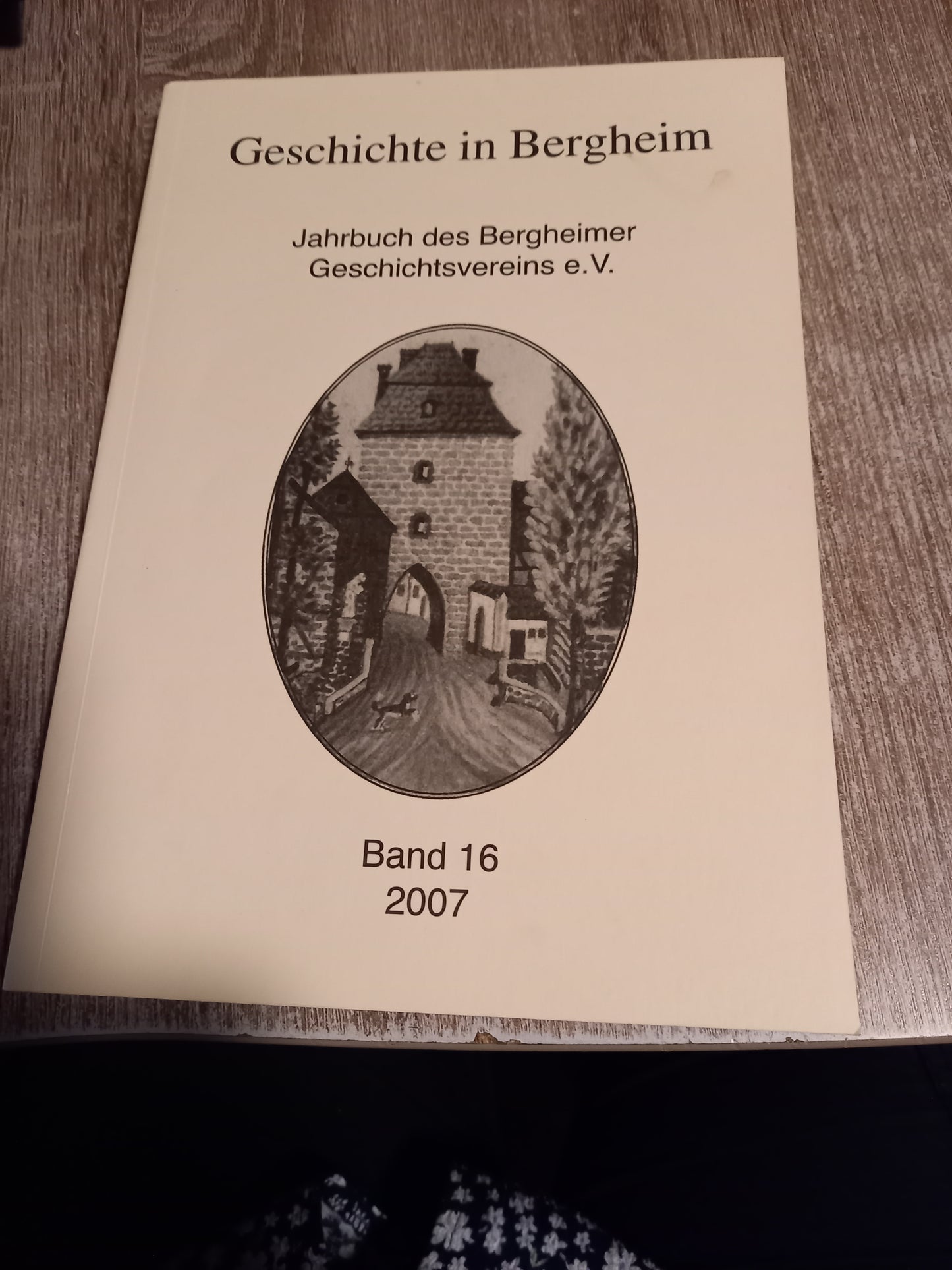 Geschichte in Bergheim Band 16 2007