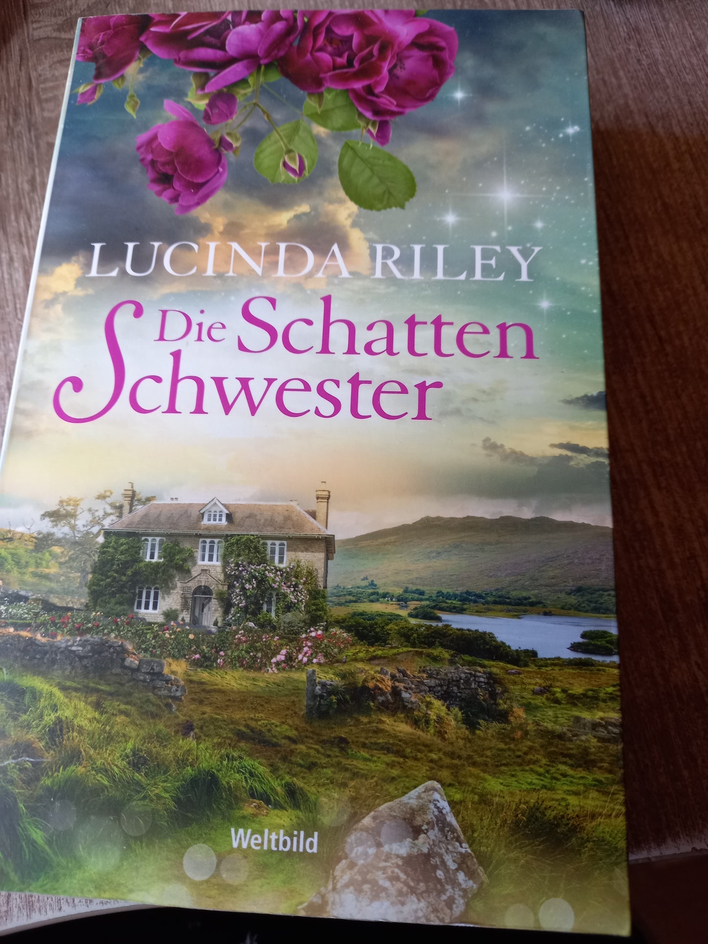 Die Schattenschwester von Riley Weltbild
