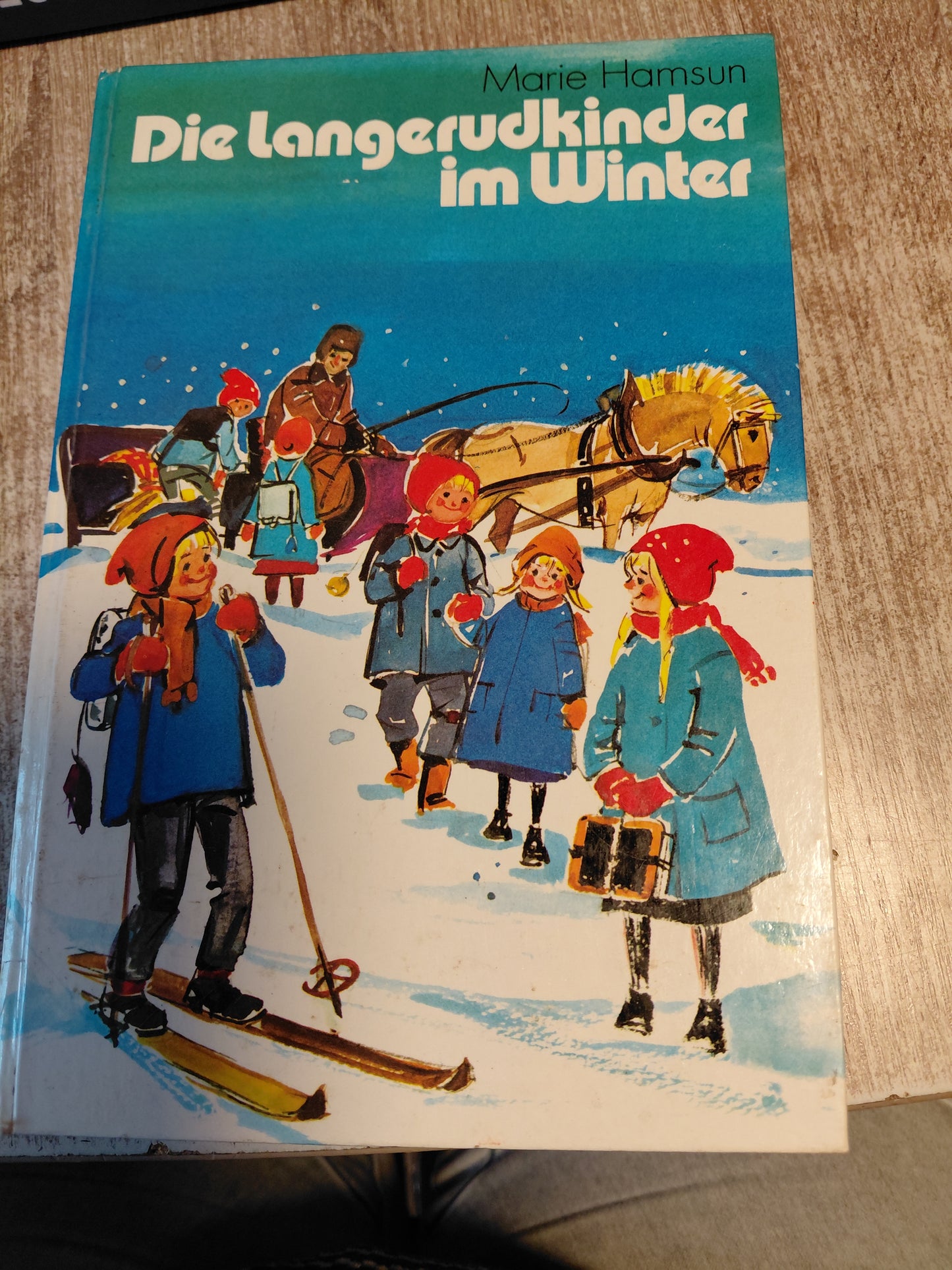 Die Langerudkinder im Winter vom Hamsun