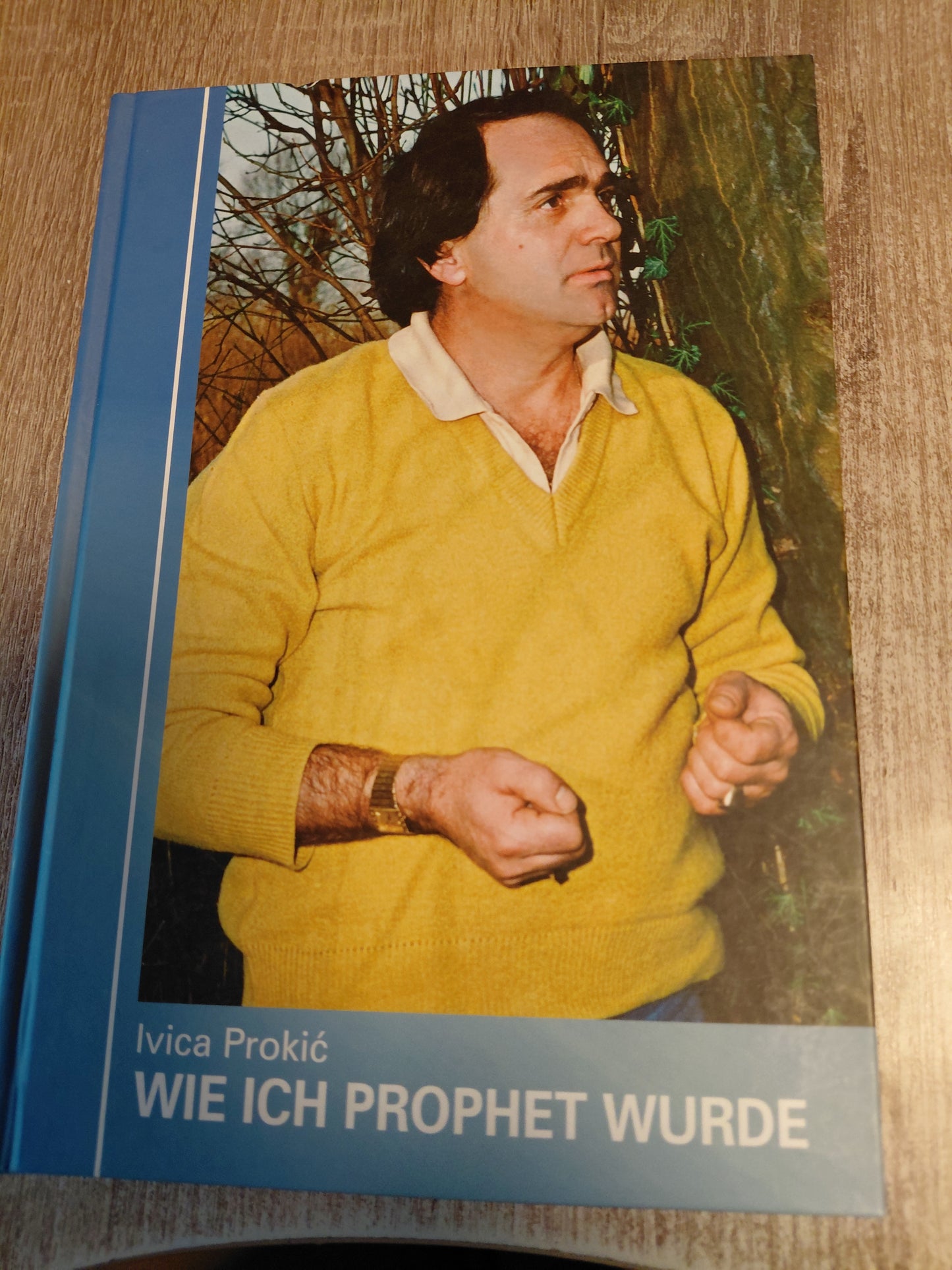 Wie ich Prophet wurde von Prokic