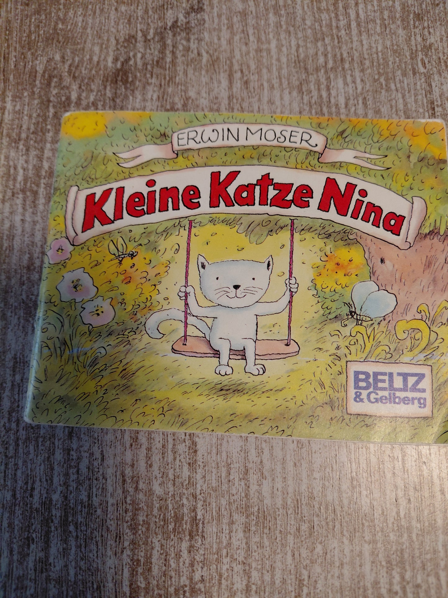 Kleine Katze Nina