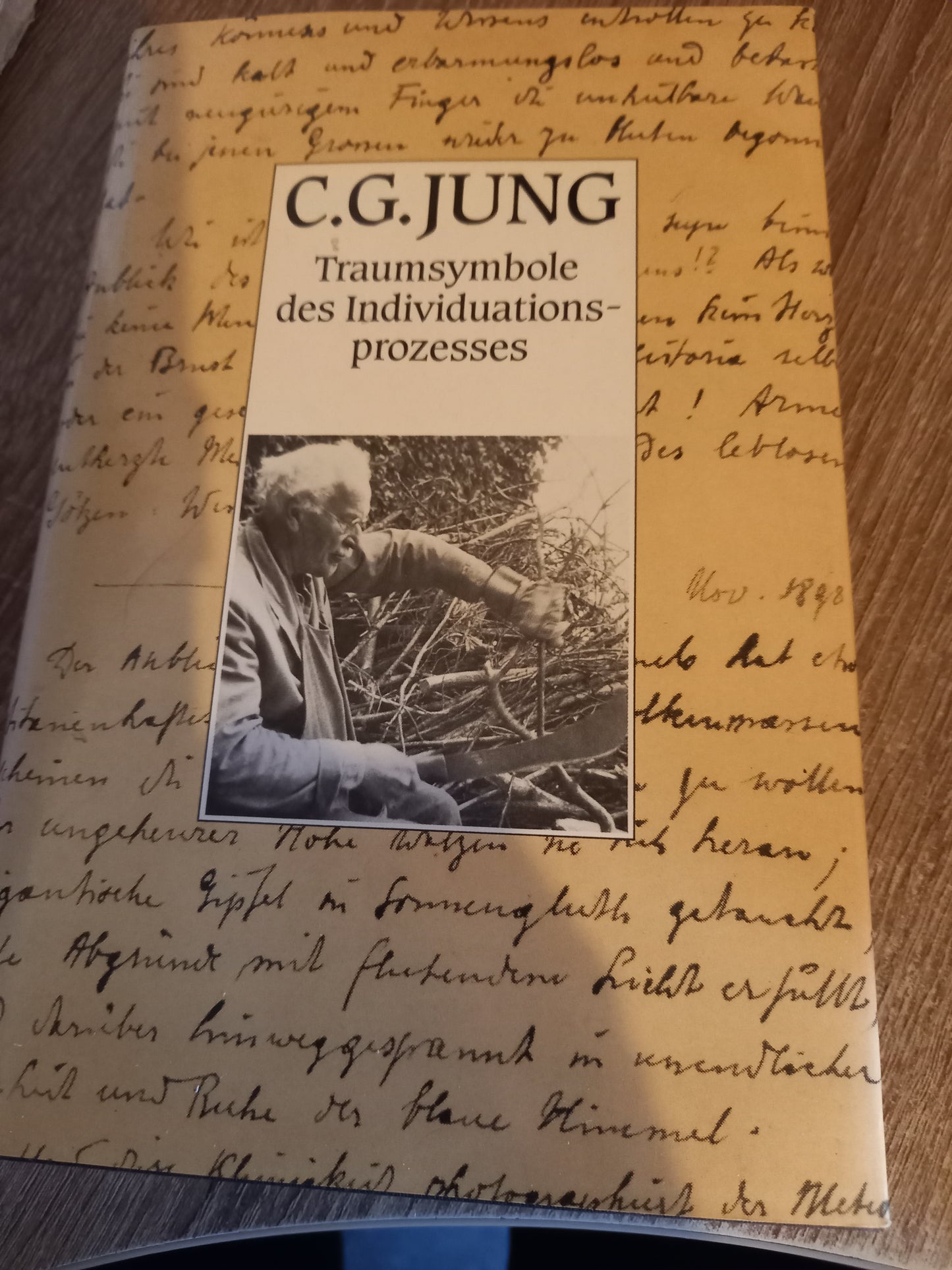 Traumsymbole des Individuationsprozesses von Jung