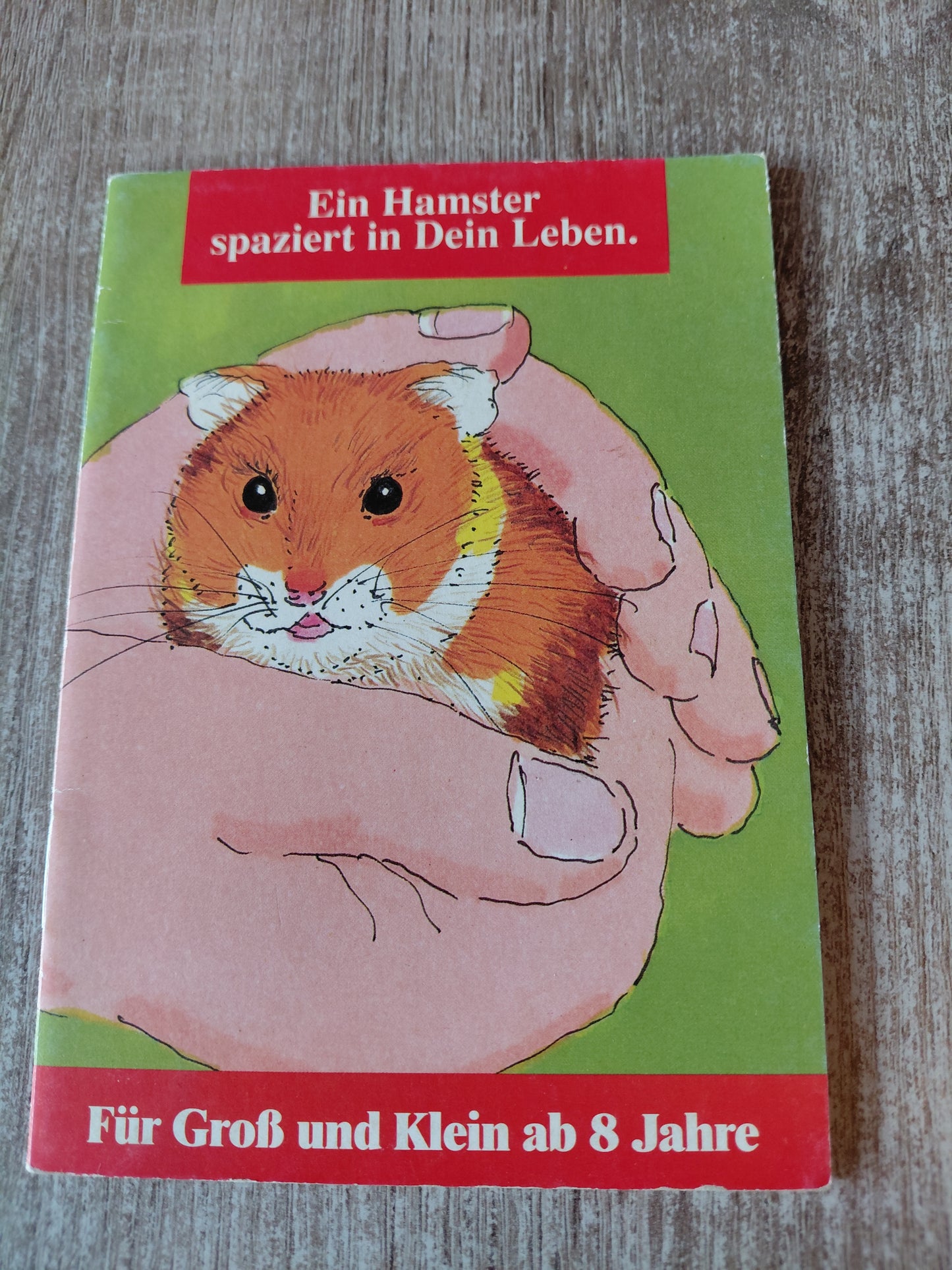 Ein Hamster spaziert in dein Leben