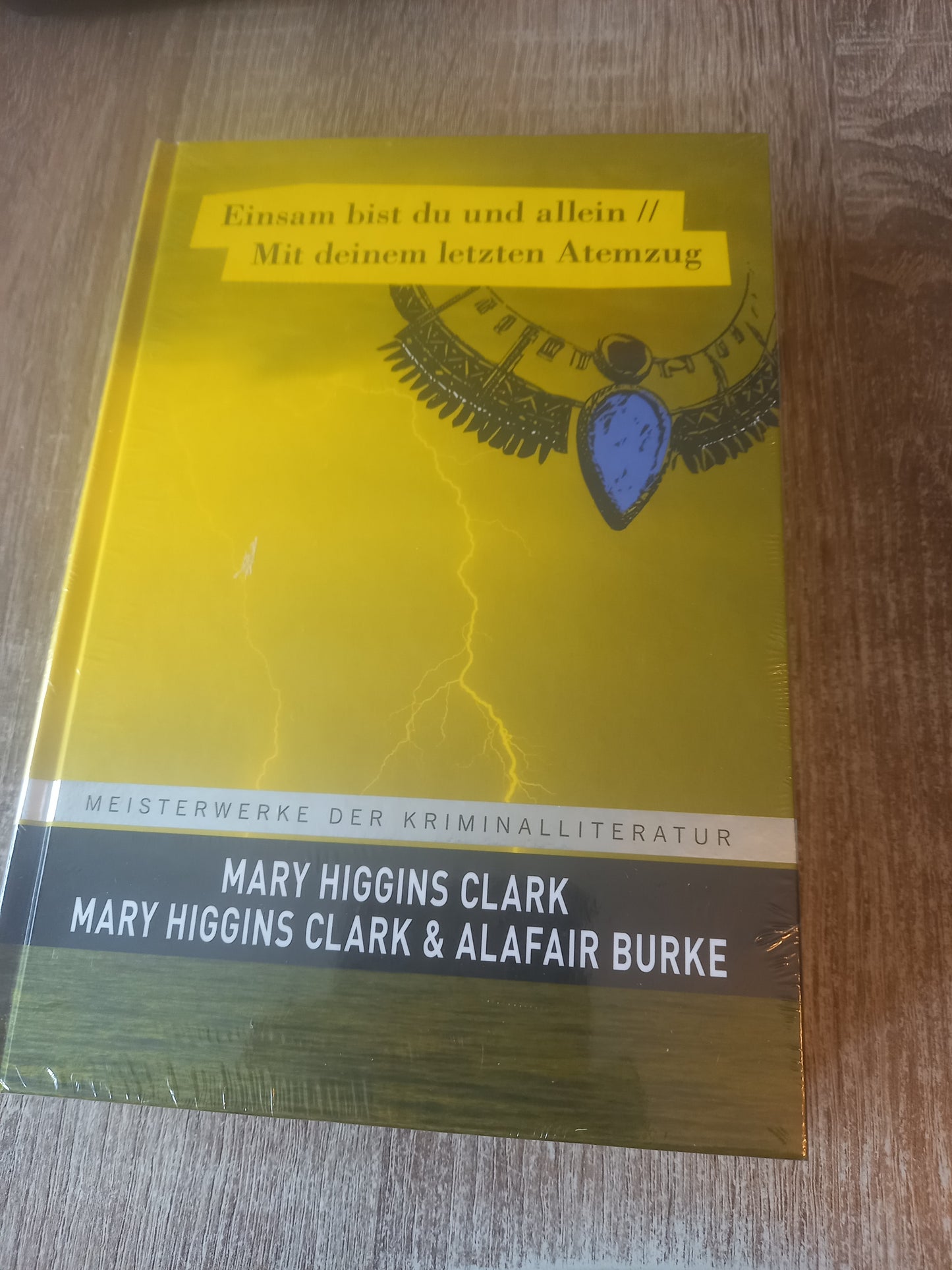 Einsam bist du und allein/ Mit deinem letzten Atemzug von Higgins Clarke und Burke