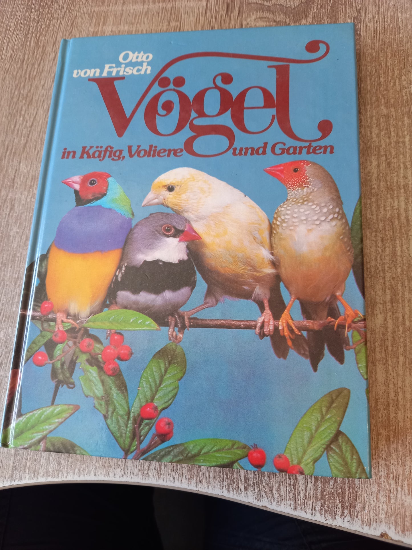 Vögel in Käfig Voliere und Garten von Frisch