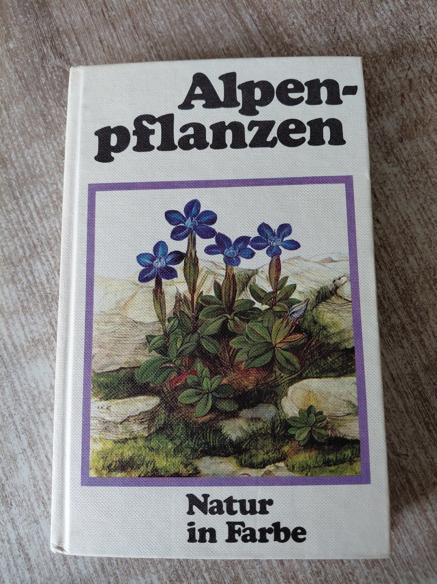 Alpenpflanzen Natur in Farbe