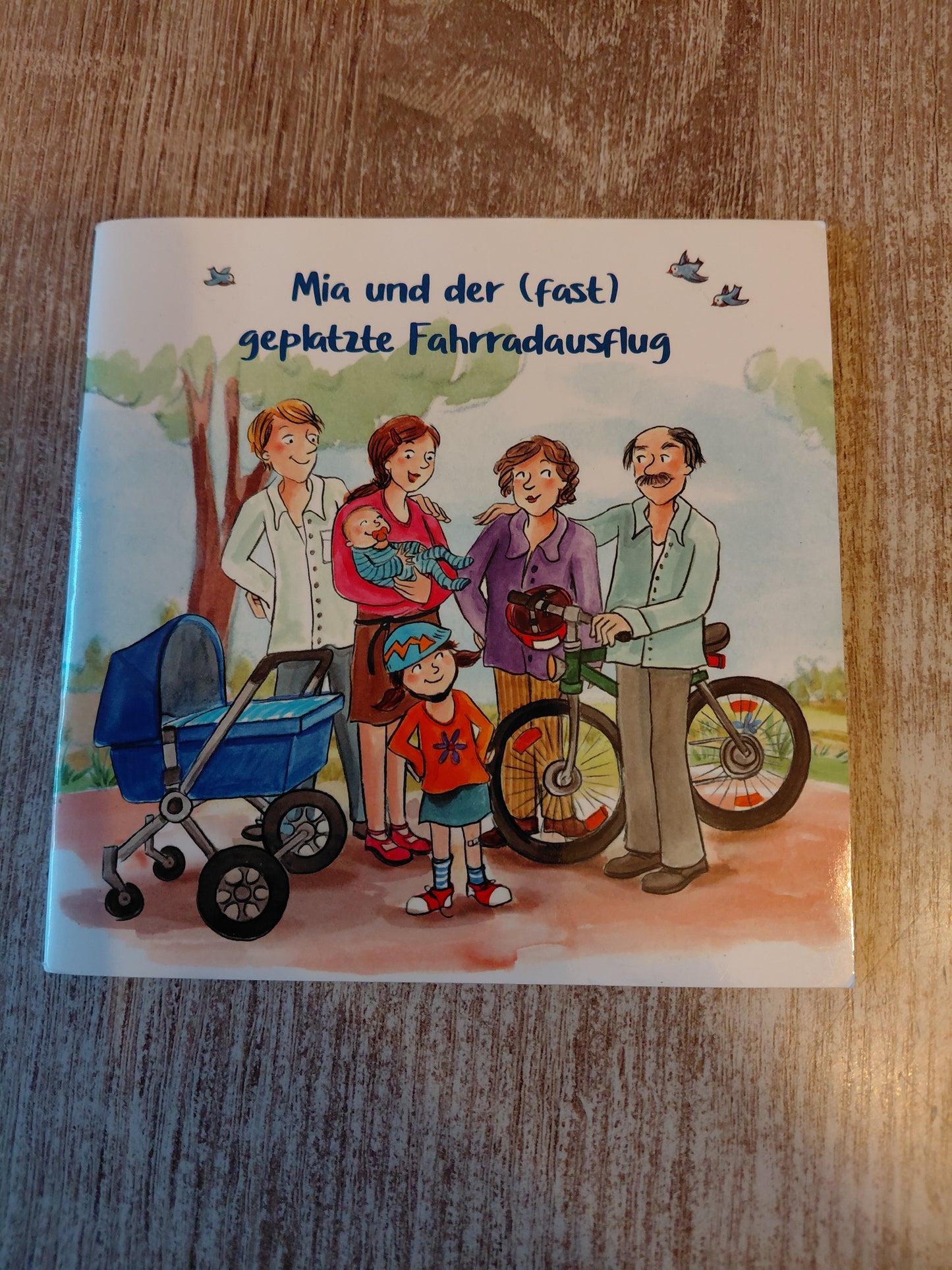 Mia und der fast geplatzte Fahrradausflug
