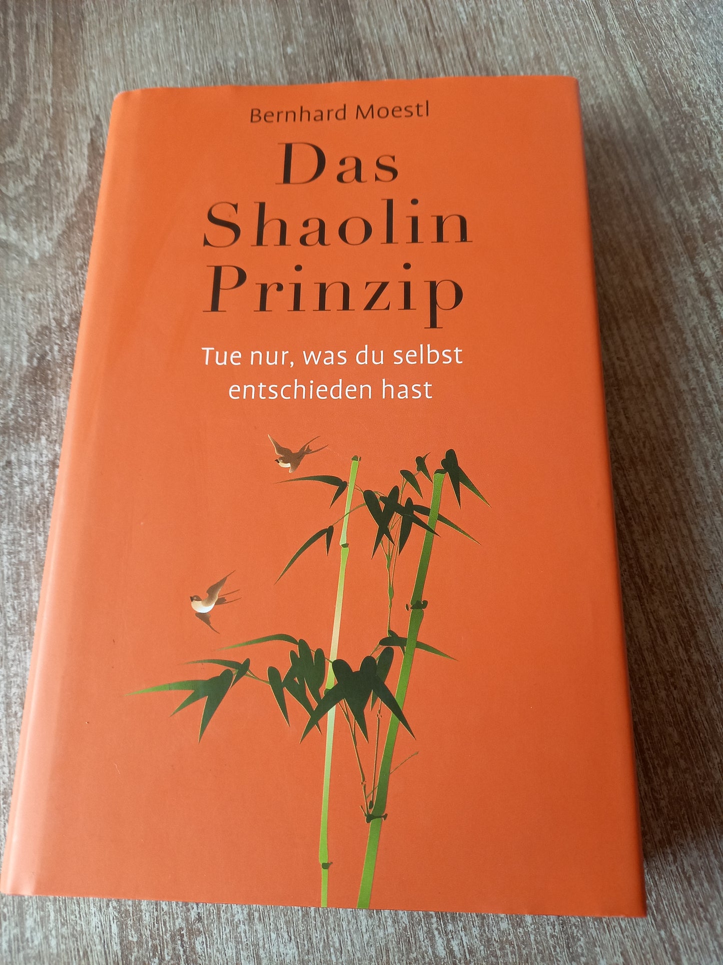 Das Shaolin Prinzip von Moestl