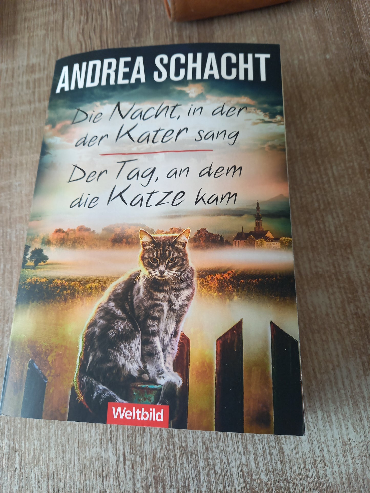 Die Nacht in der der Kater sang und Der Tag an dem die Katze kam in einem Band von Schacht