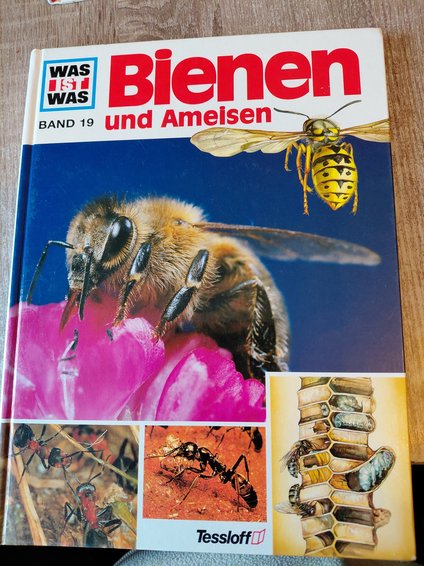 Bienen und Ameisen Band 19 Was ist was