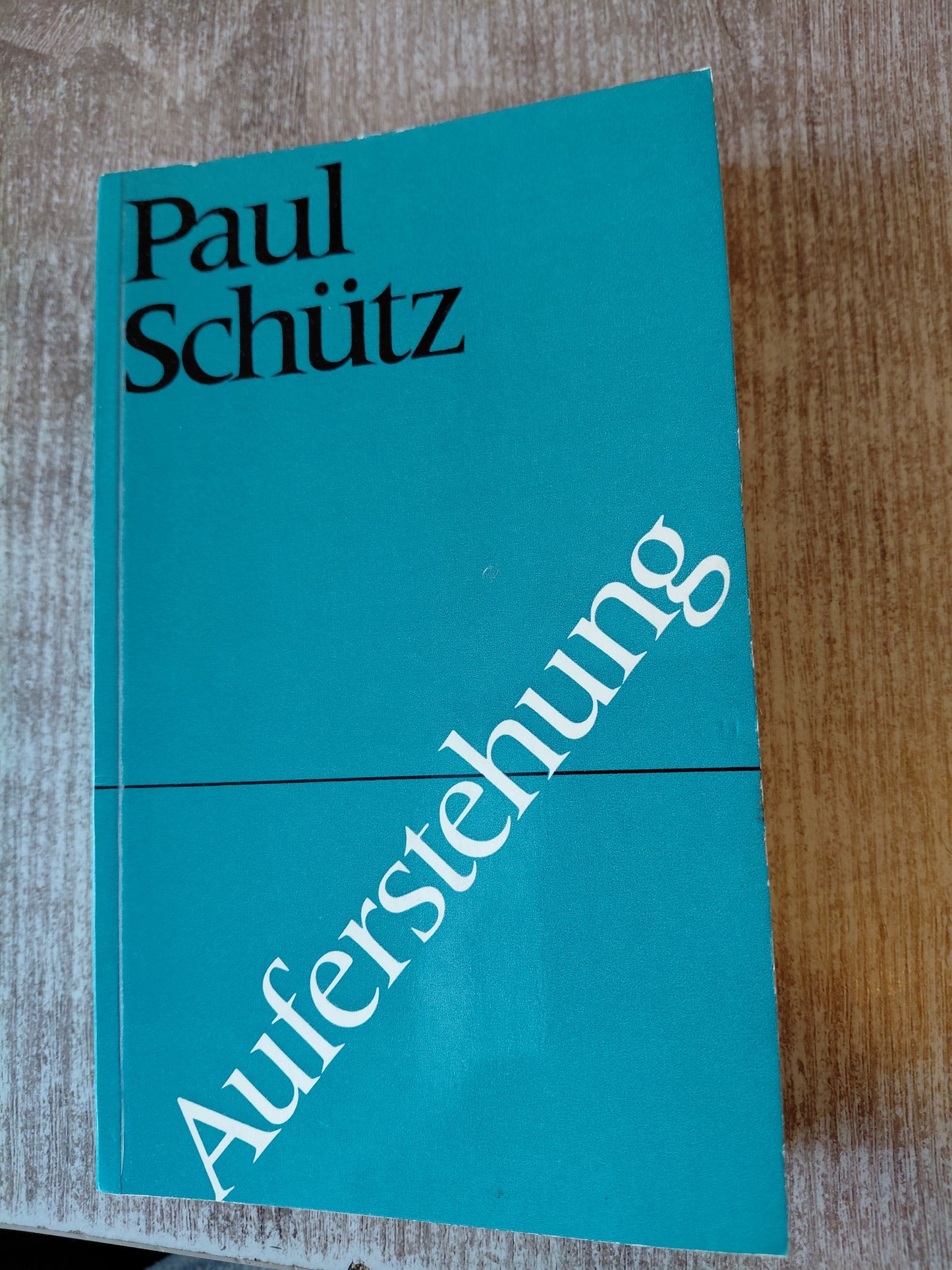Auferstehung von Paul Schütz