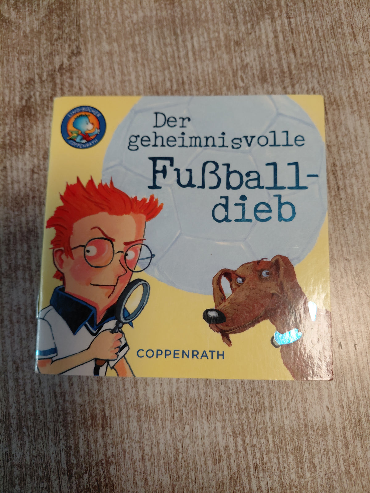Der geheimnisvolle Fußballdieb