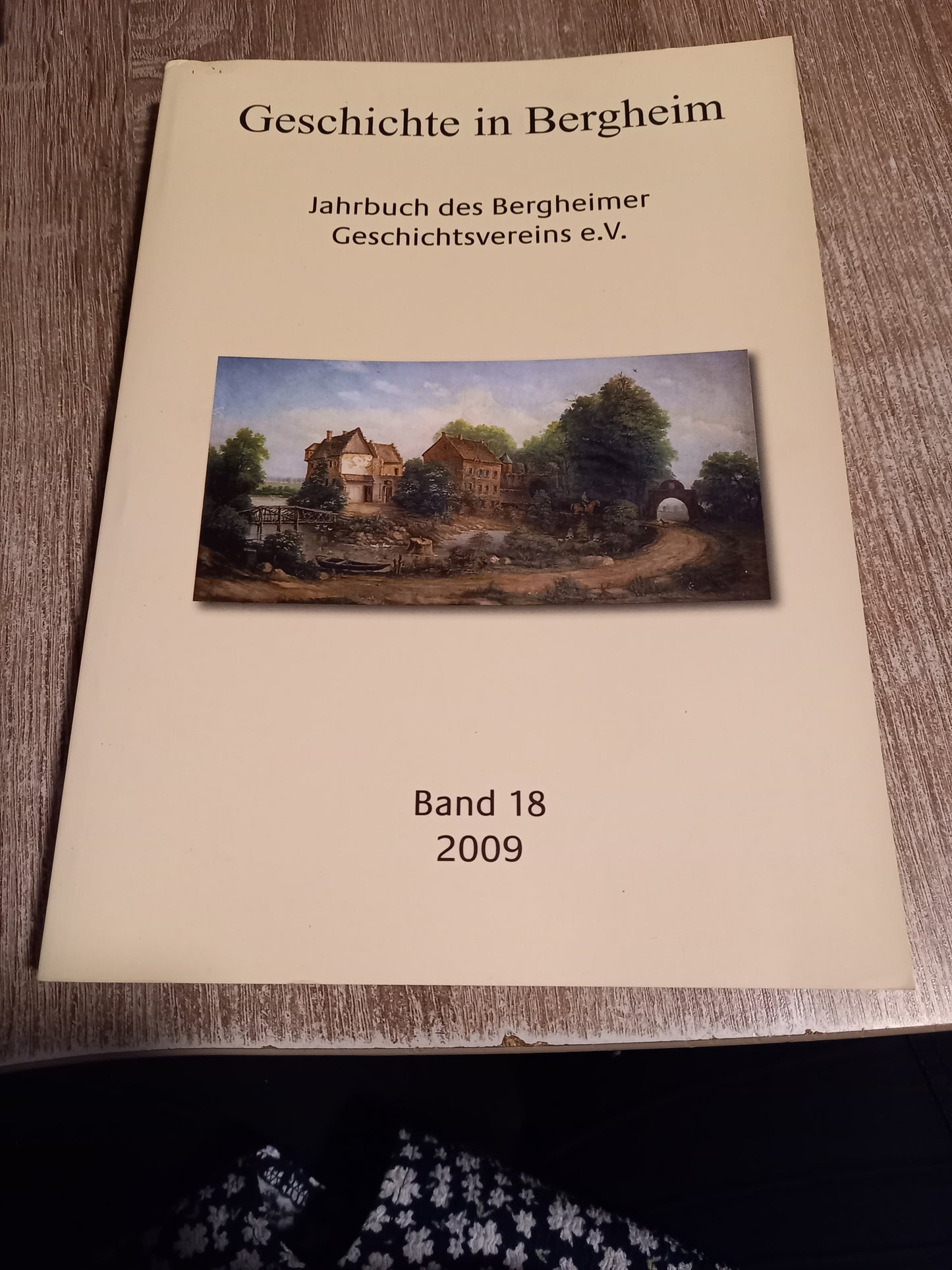 Geschichte in Bergheim Band 18 2009