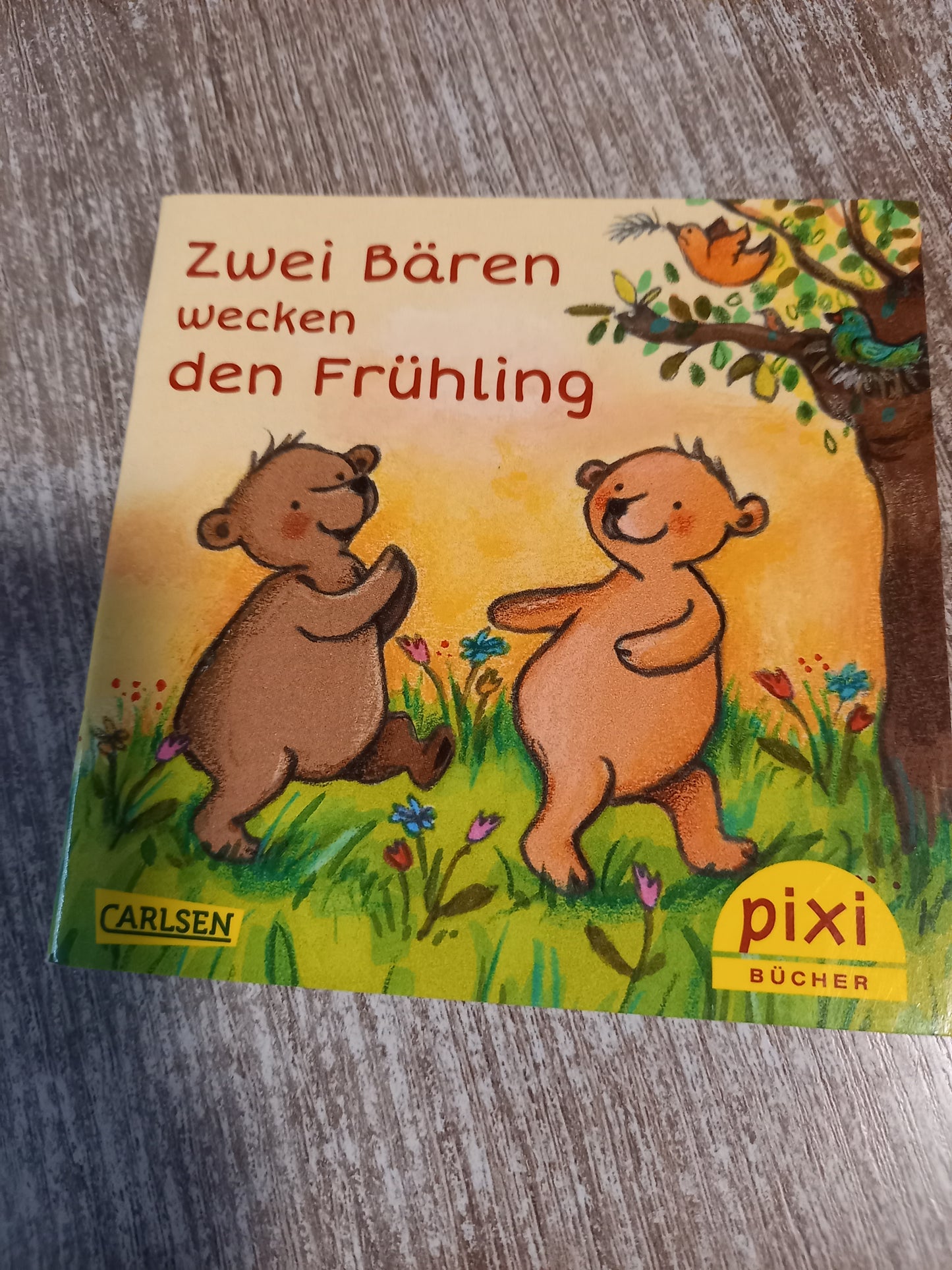 Zwei Bären wecken den Frühling Pixi 2553