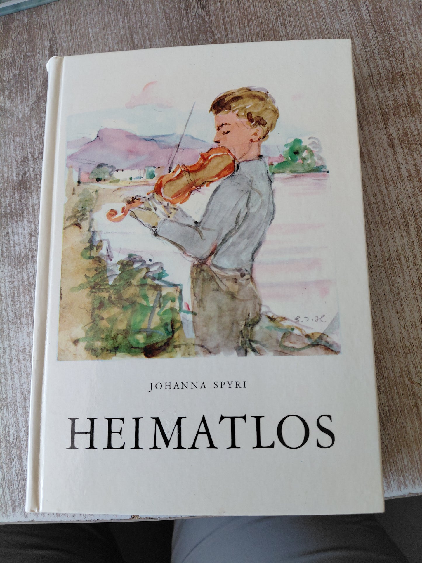 Heimatlos von Spyri