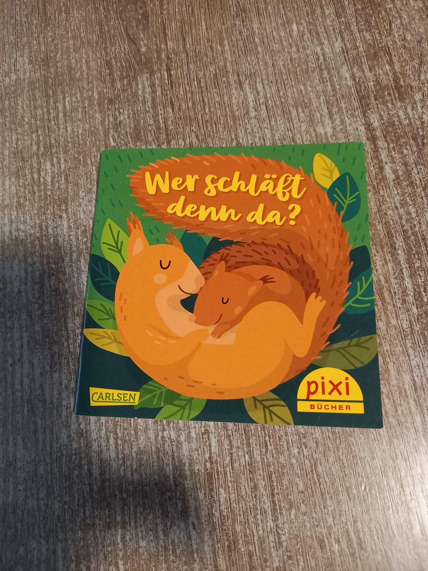 Wer schläft denn da Pixi 2662