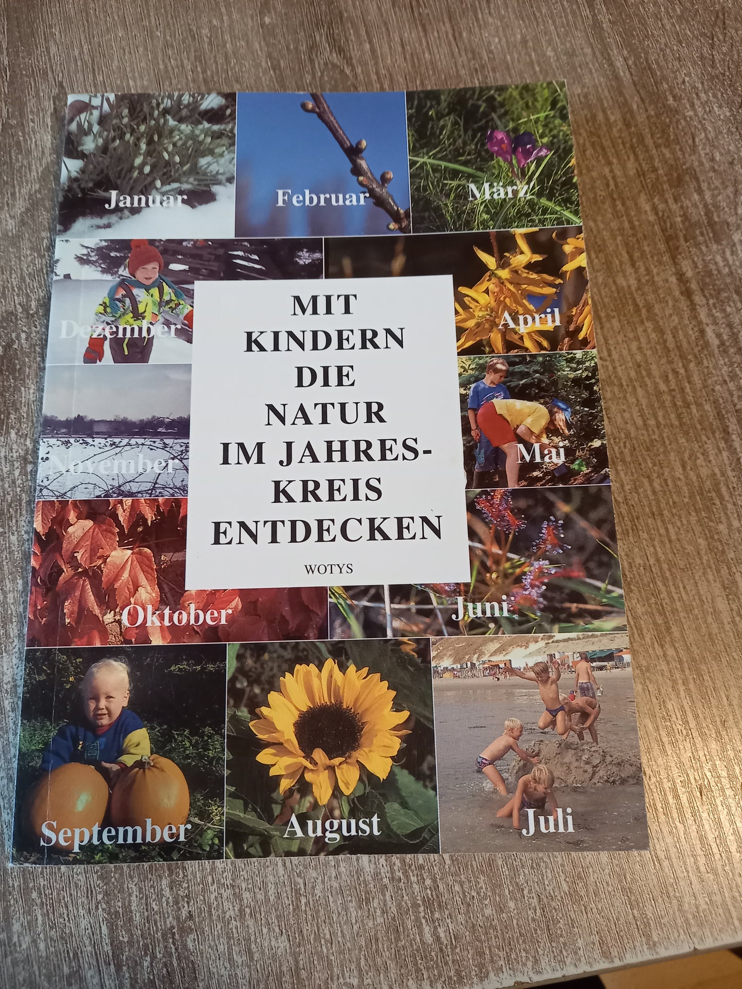 Mit Kindern die Natur im Jahreskreis entdecken