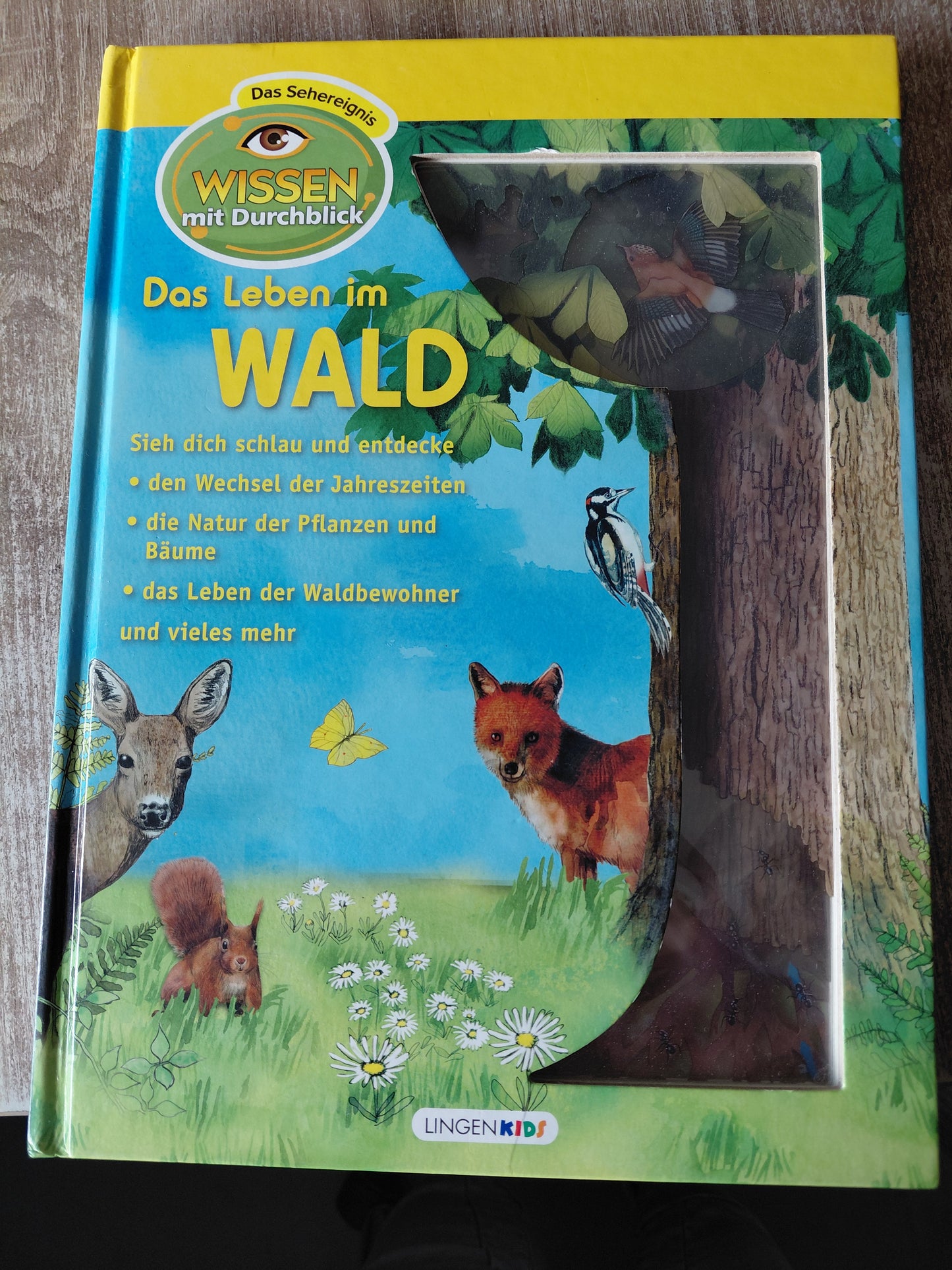 Wissen mit Durchblick Das Leben im Wald