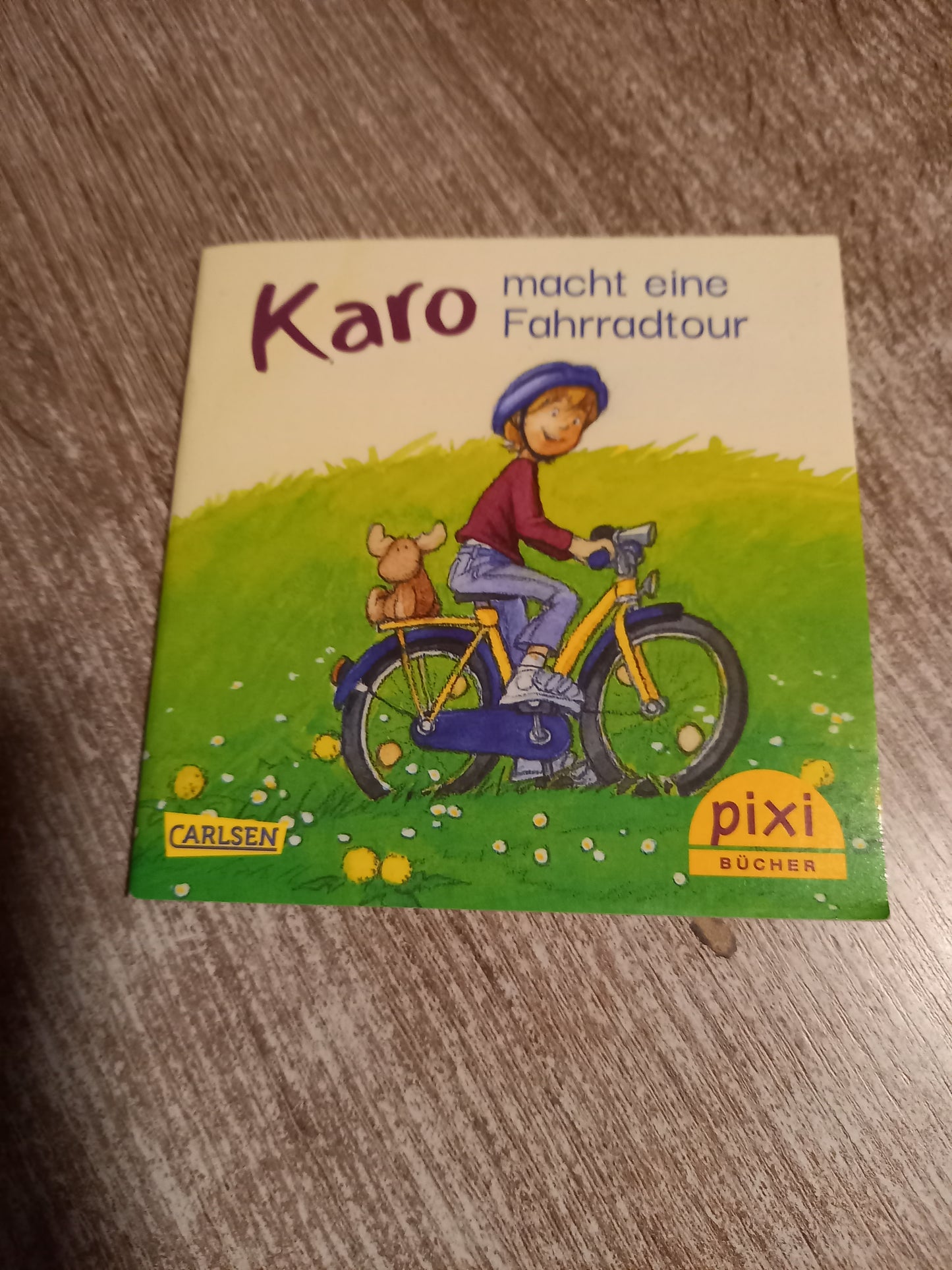Karo macht eine Fahrradtour