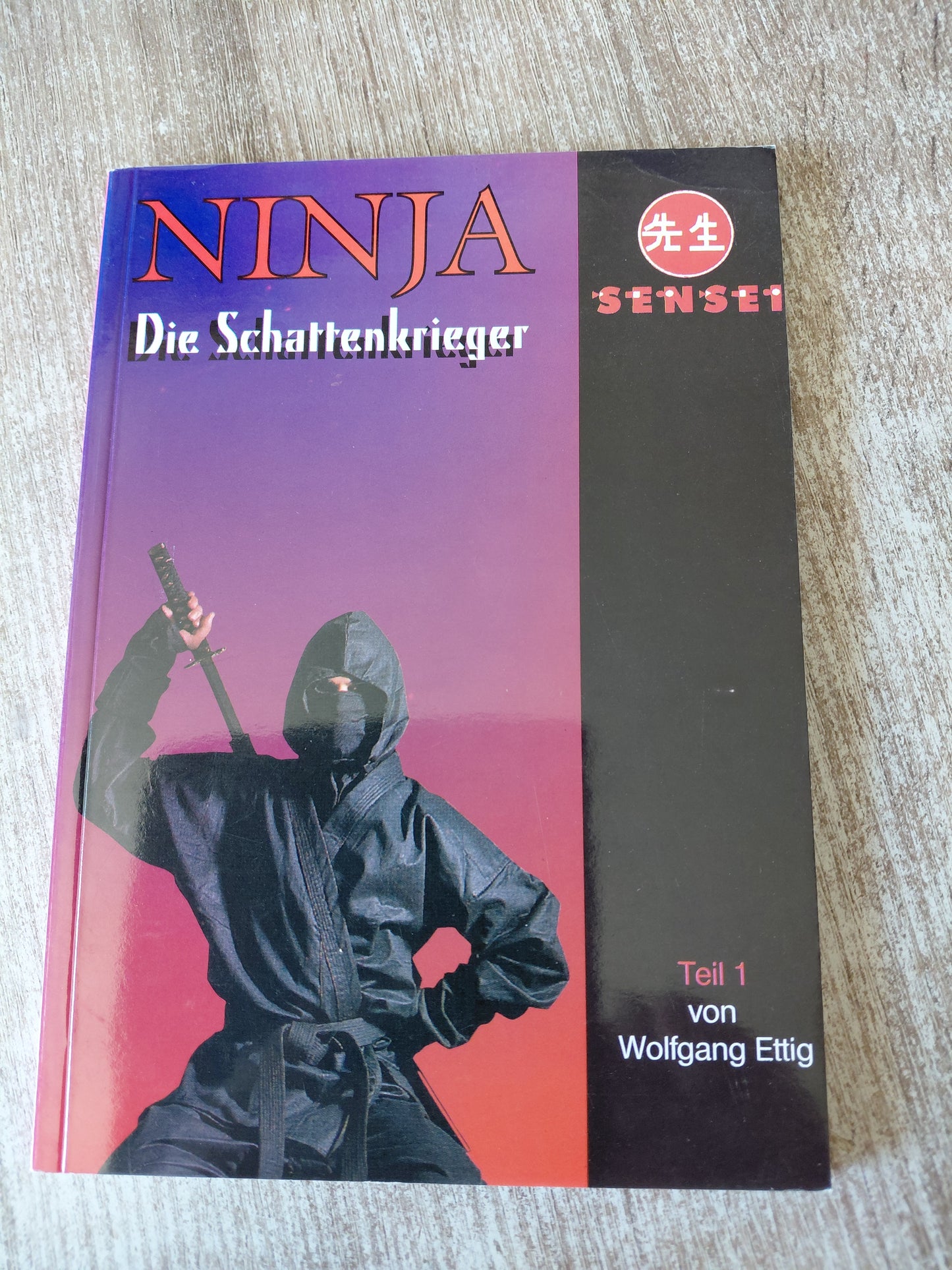 Nina Die Schattenkrieger Teil 1 von Ettig