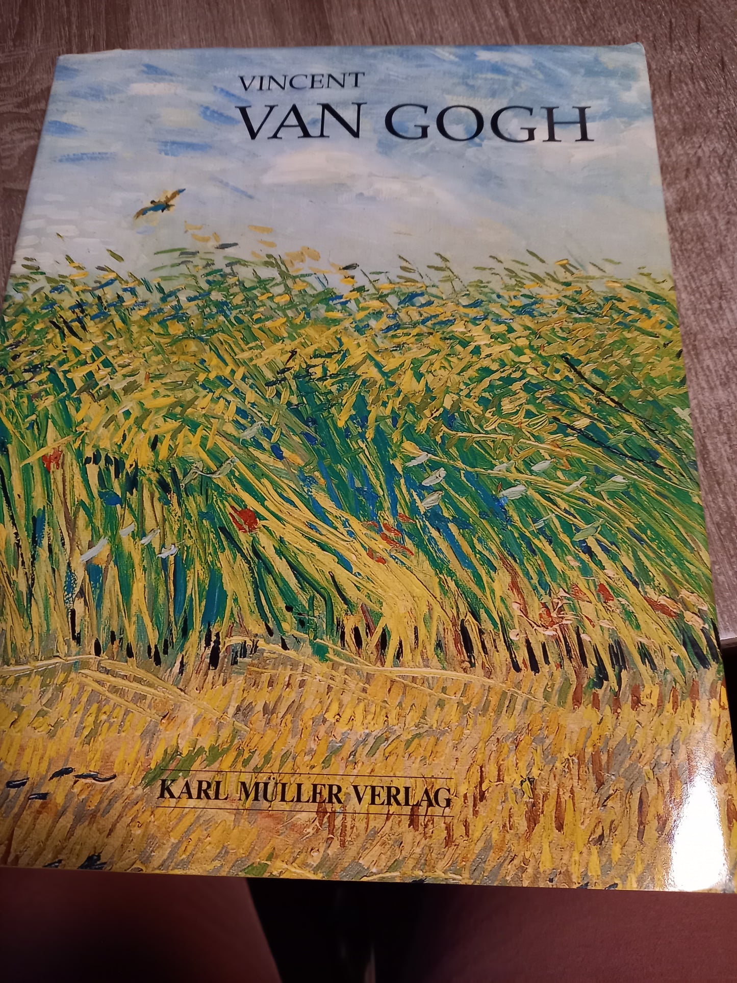 Vincent van Gogh von Bronkhorst