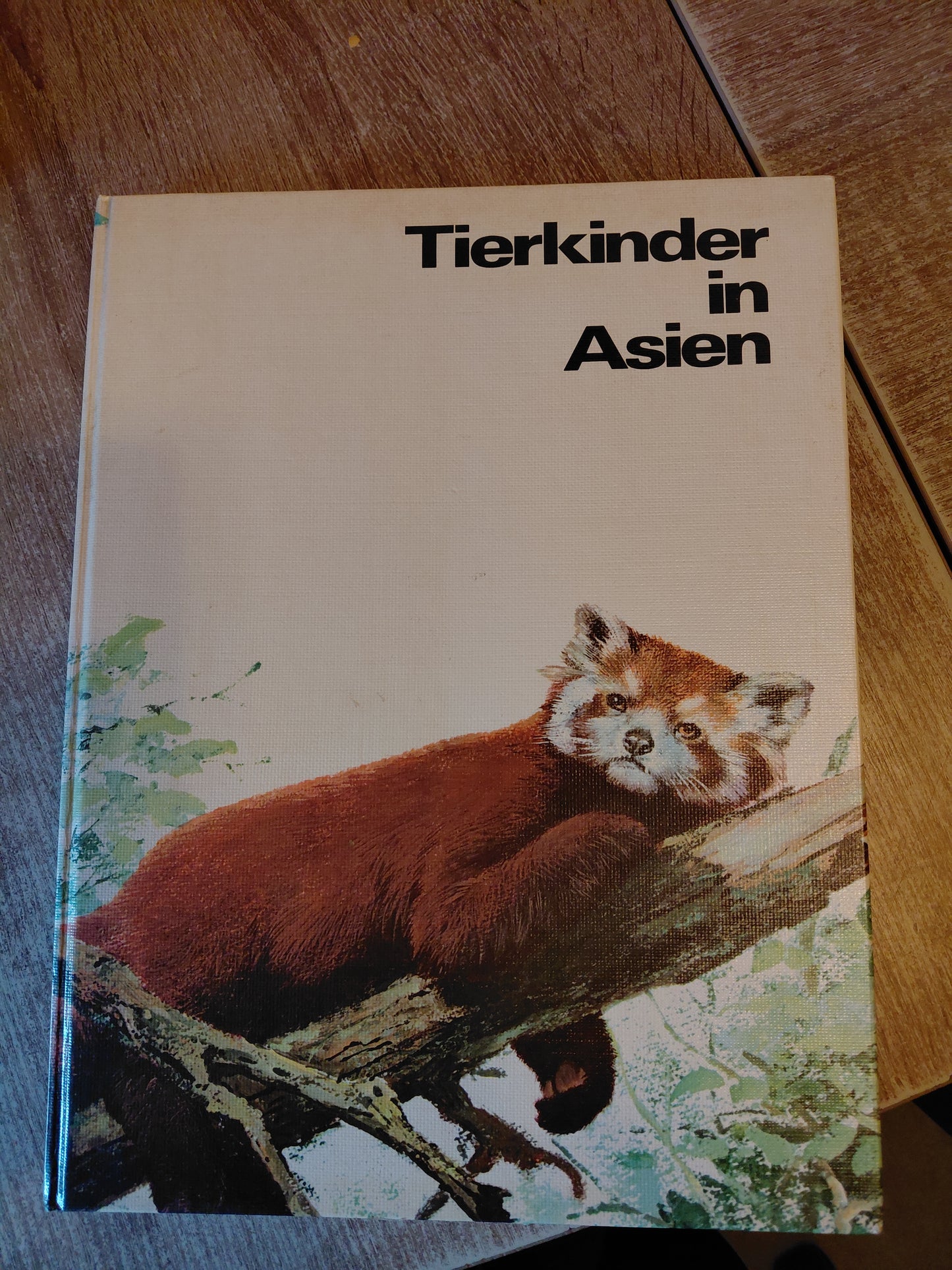 Tierkinder in Asien
