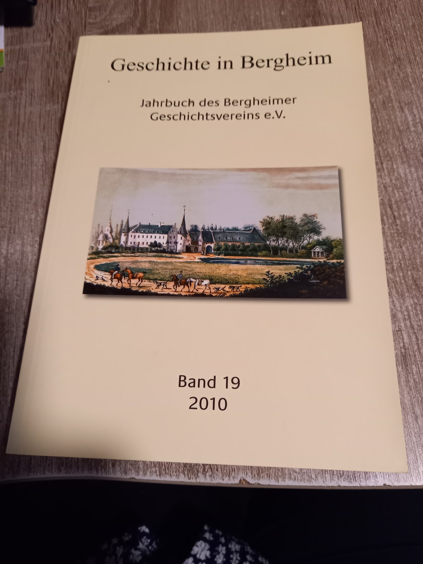 Geschichte in Bergheim Band 19 2010