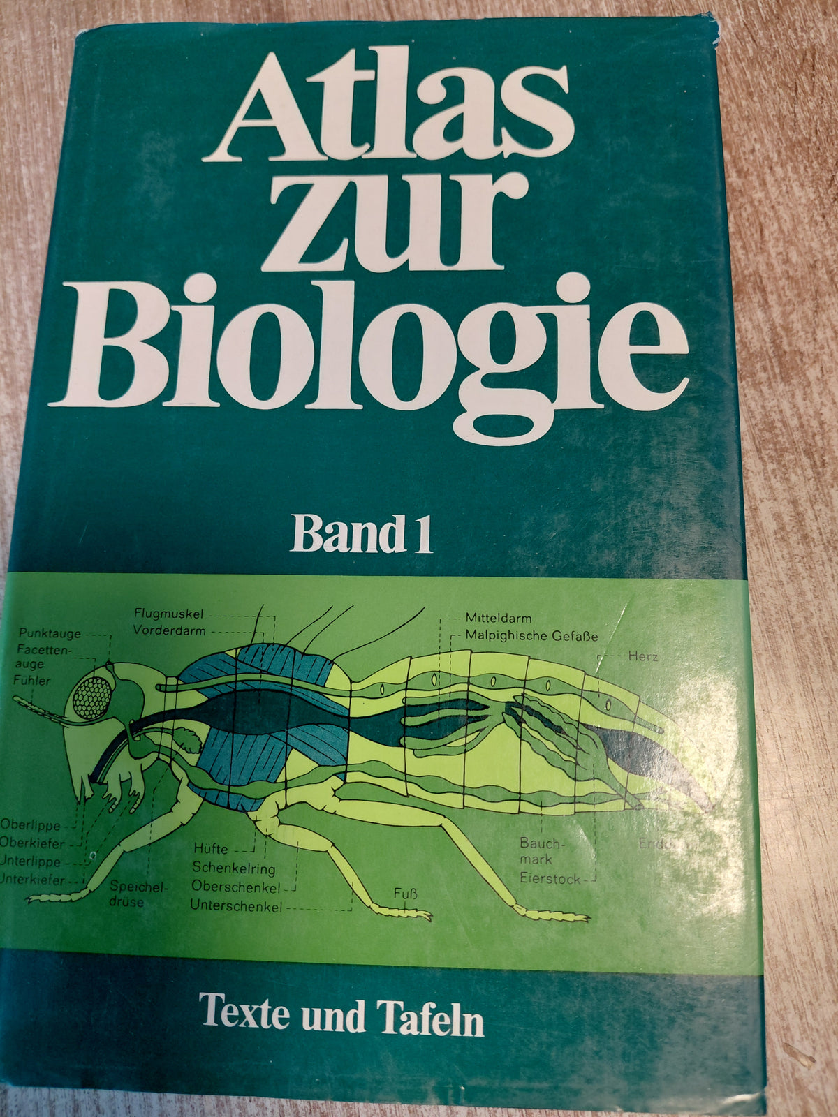 Atlas zur Biologie Band 1 Texte und Tafeln