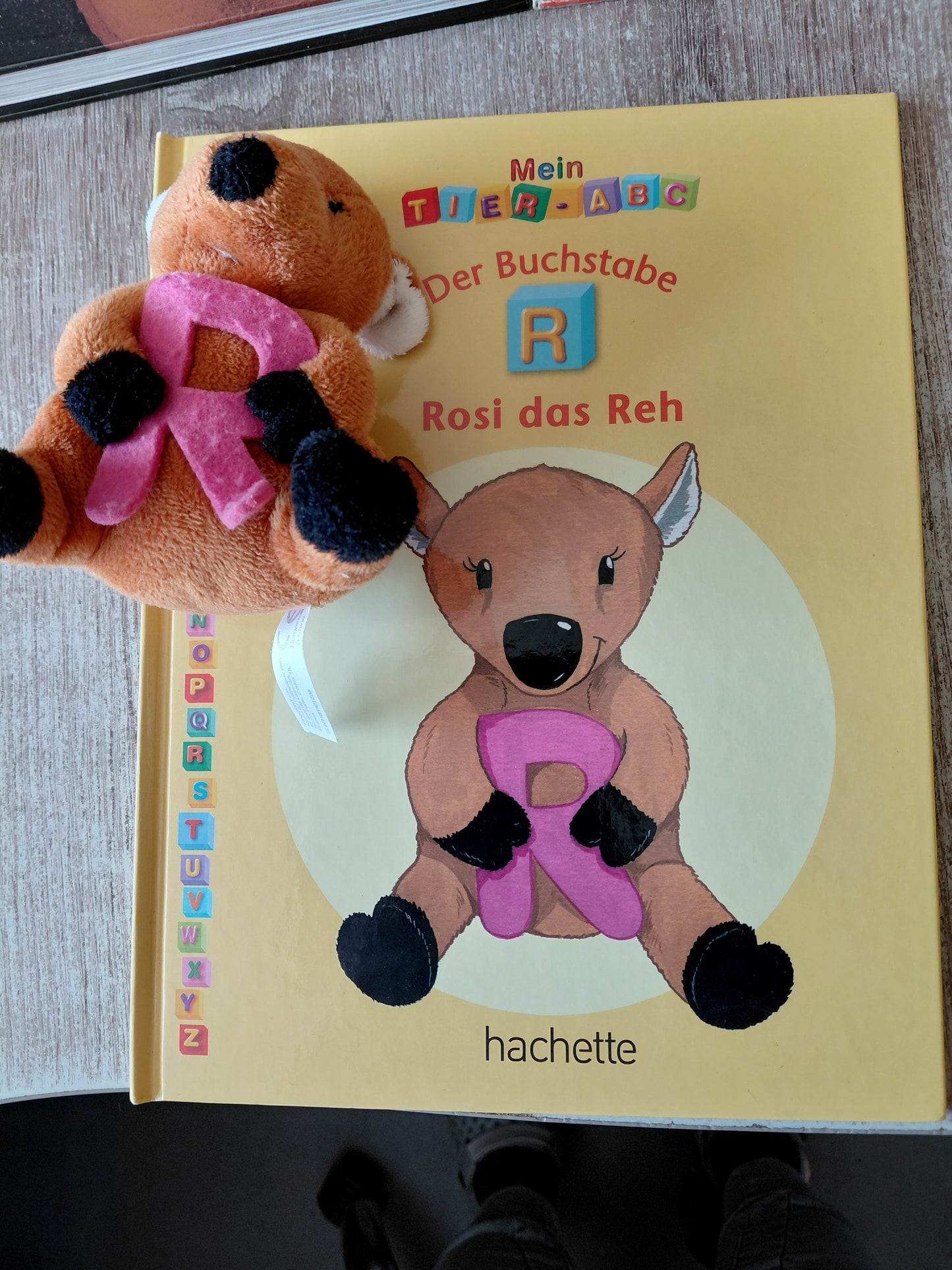 Mein Tier ABC Der Buchstabe R Rosi das Reh