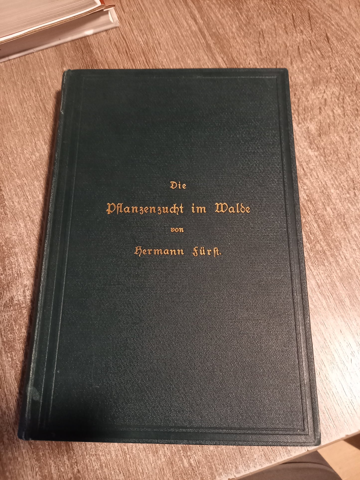 Die Pflanzenzucht im Walde von Fürst