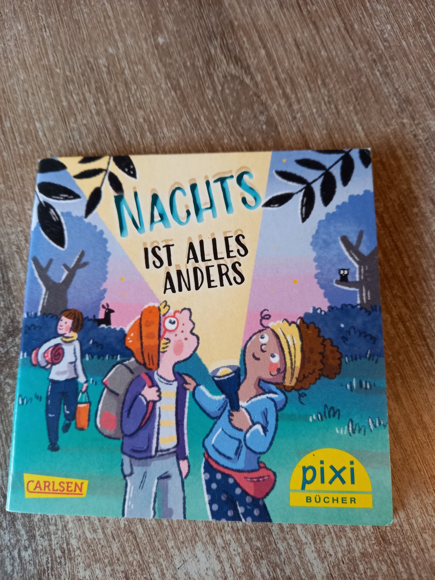 Nachts ist alles anders Pixi 2628