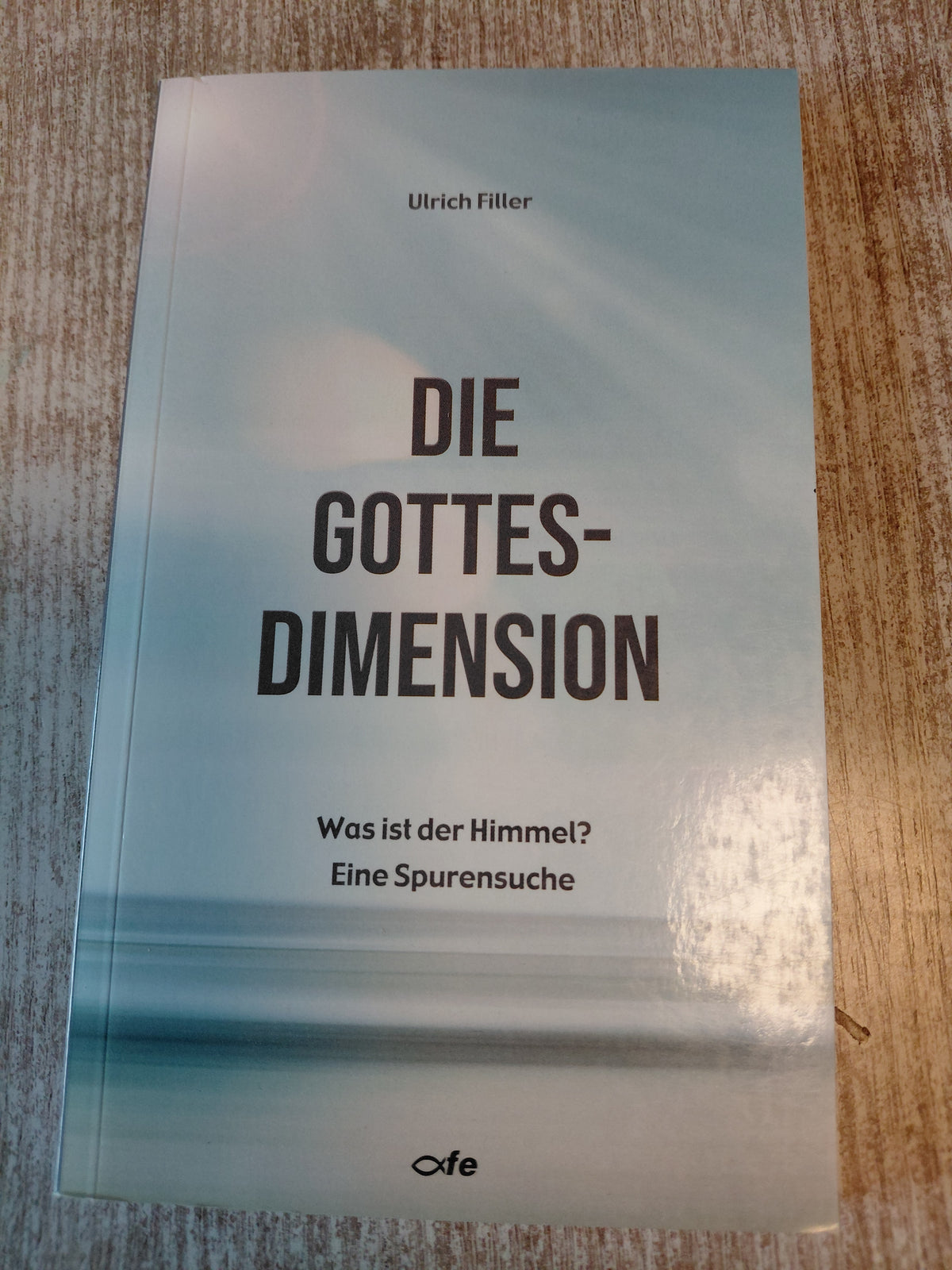 Die Gottesdimension von Filler