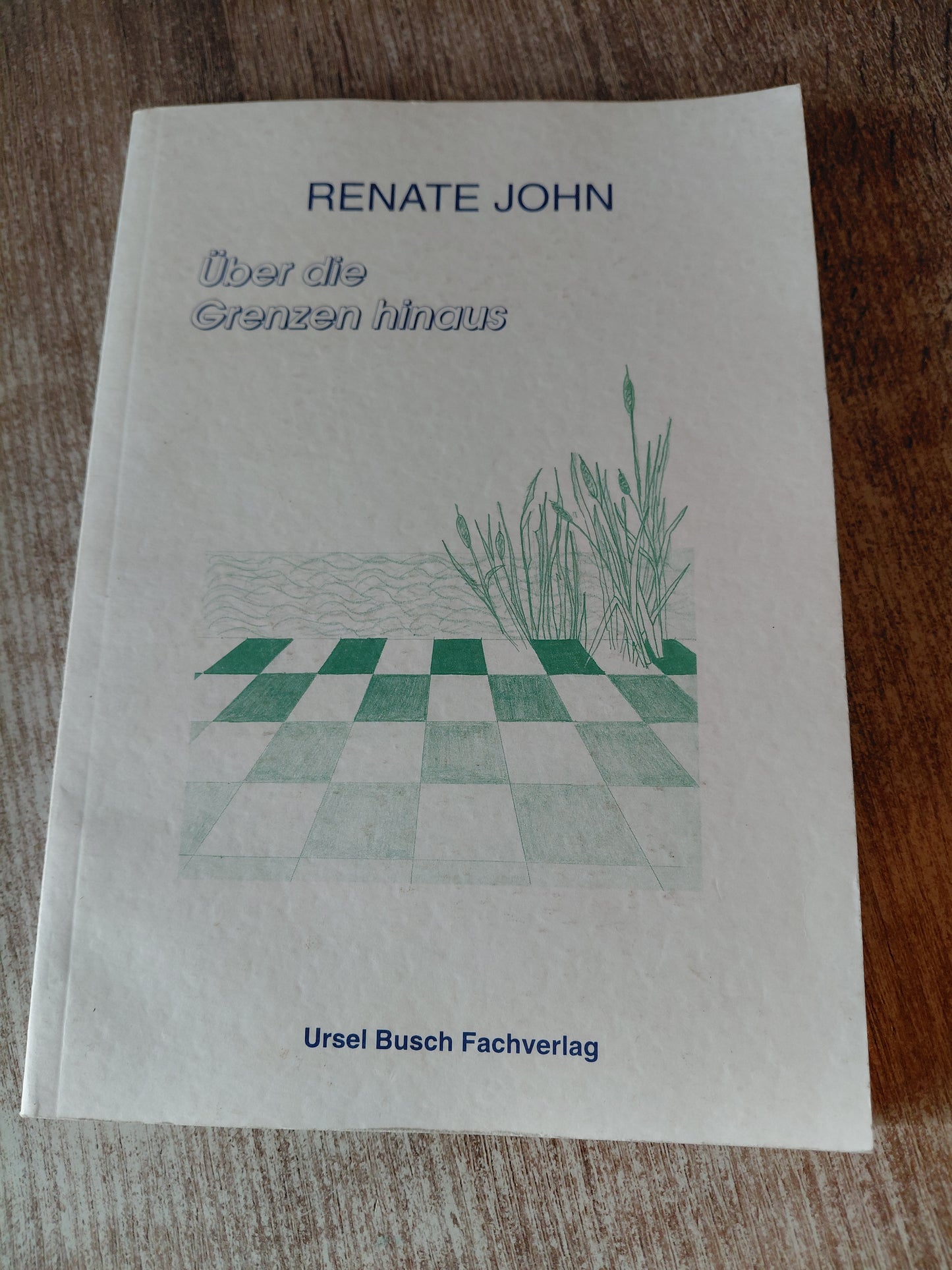 Über die Grenzen hinaus von Renate John