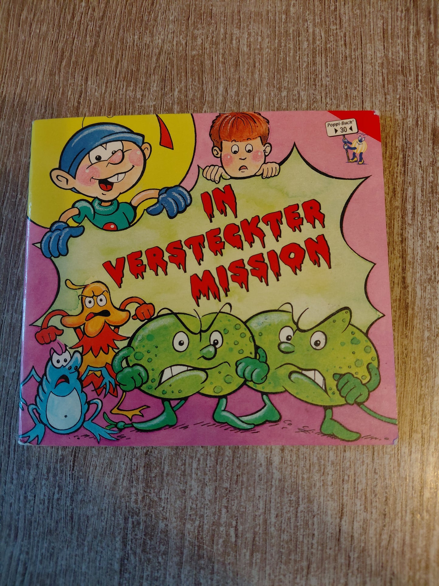 In versteckter Mission Poppi Buch 30