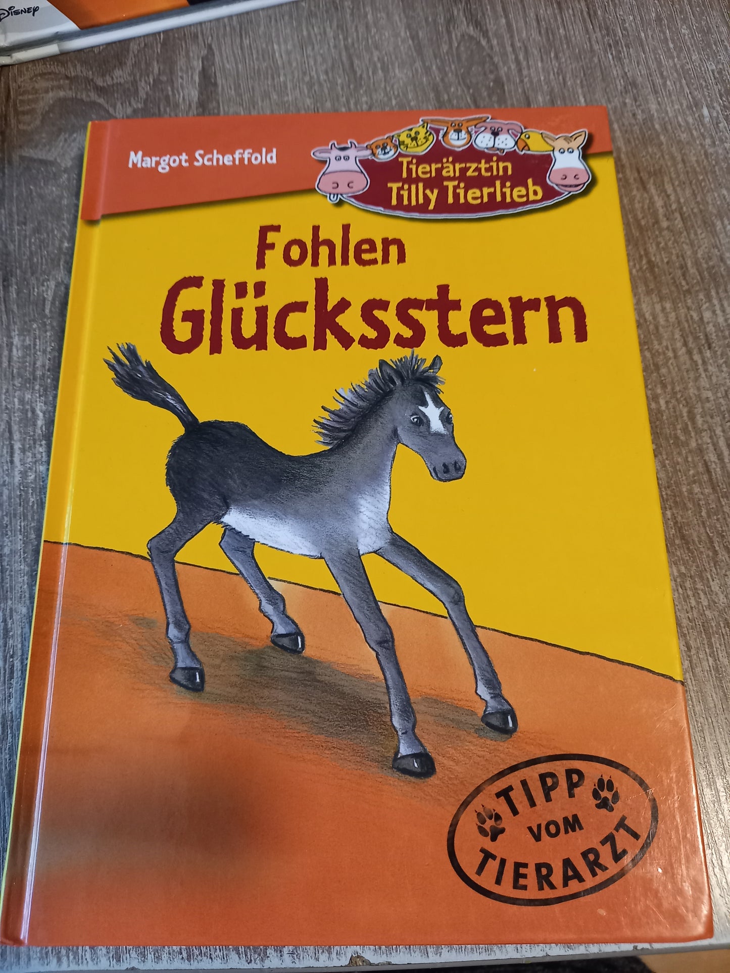 Fohlen Glücksstern Tierärztin Tilly Tierlieb von Scheffold