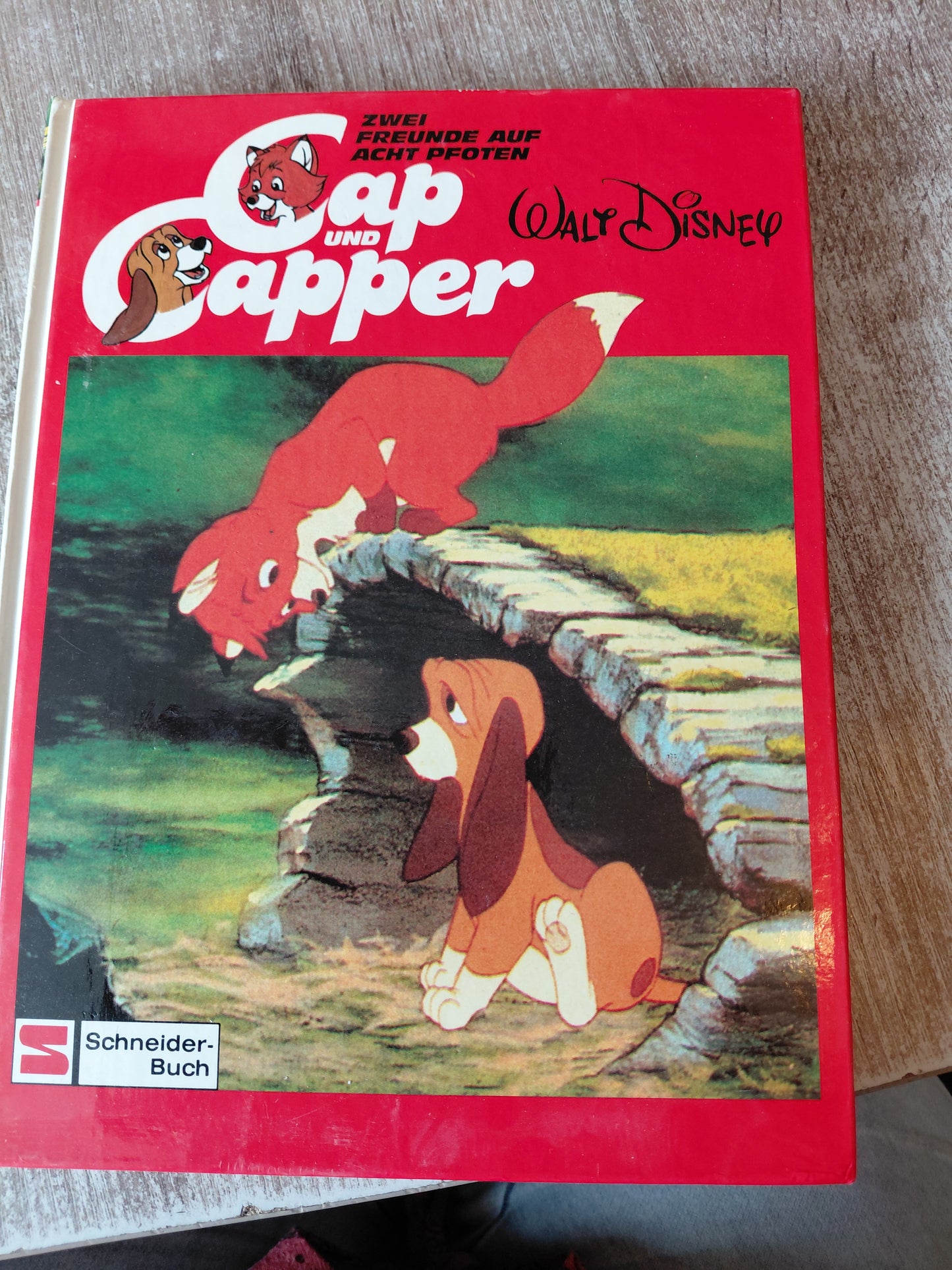 Cap und Capper Zwei Freunde auf acht Pfoten