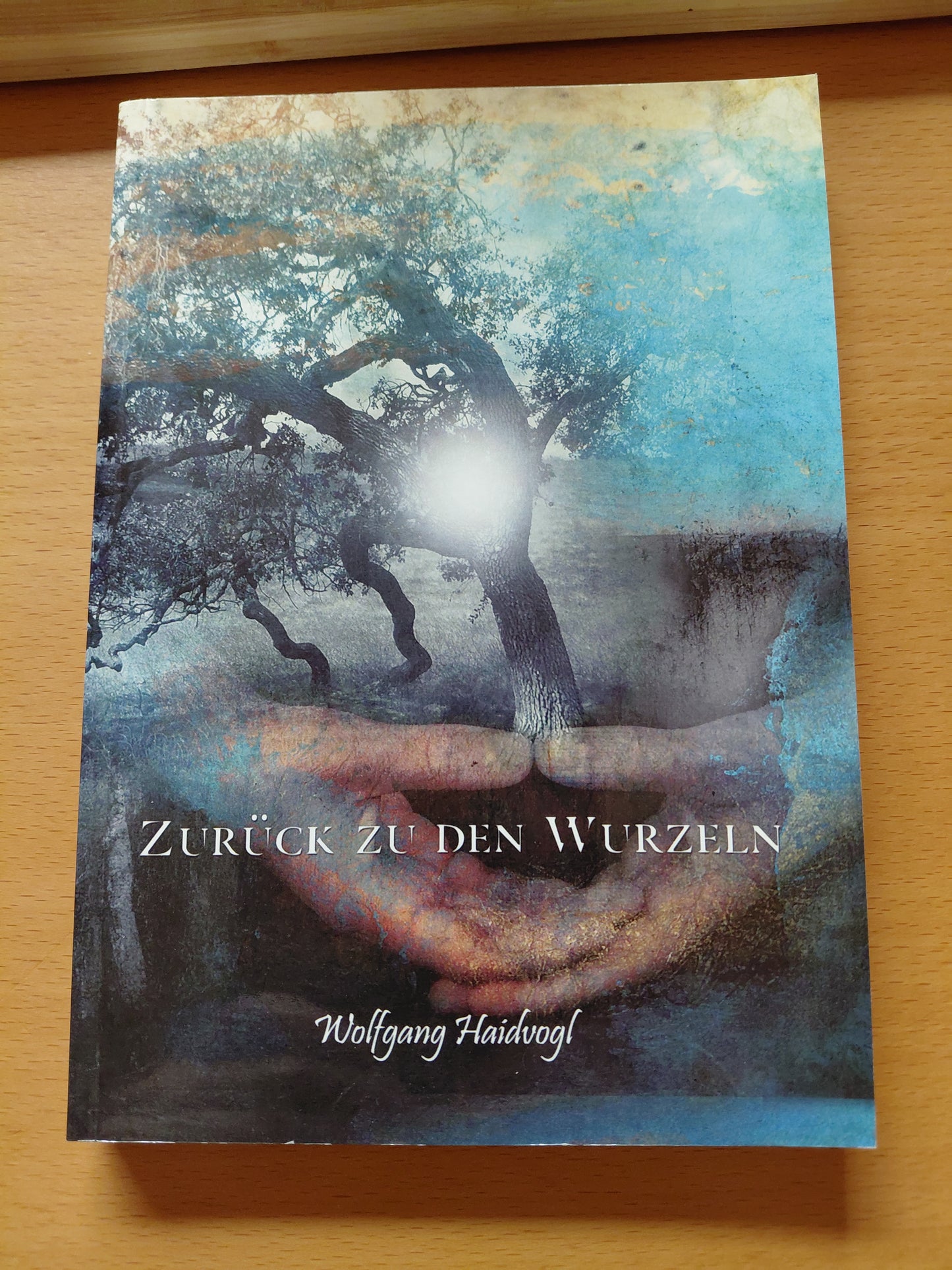 Zurück zu den Wurzeln von Haidvogl