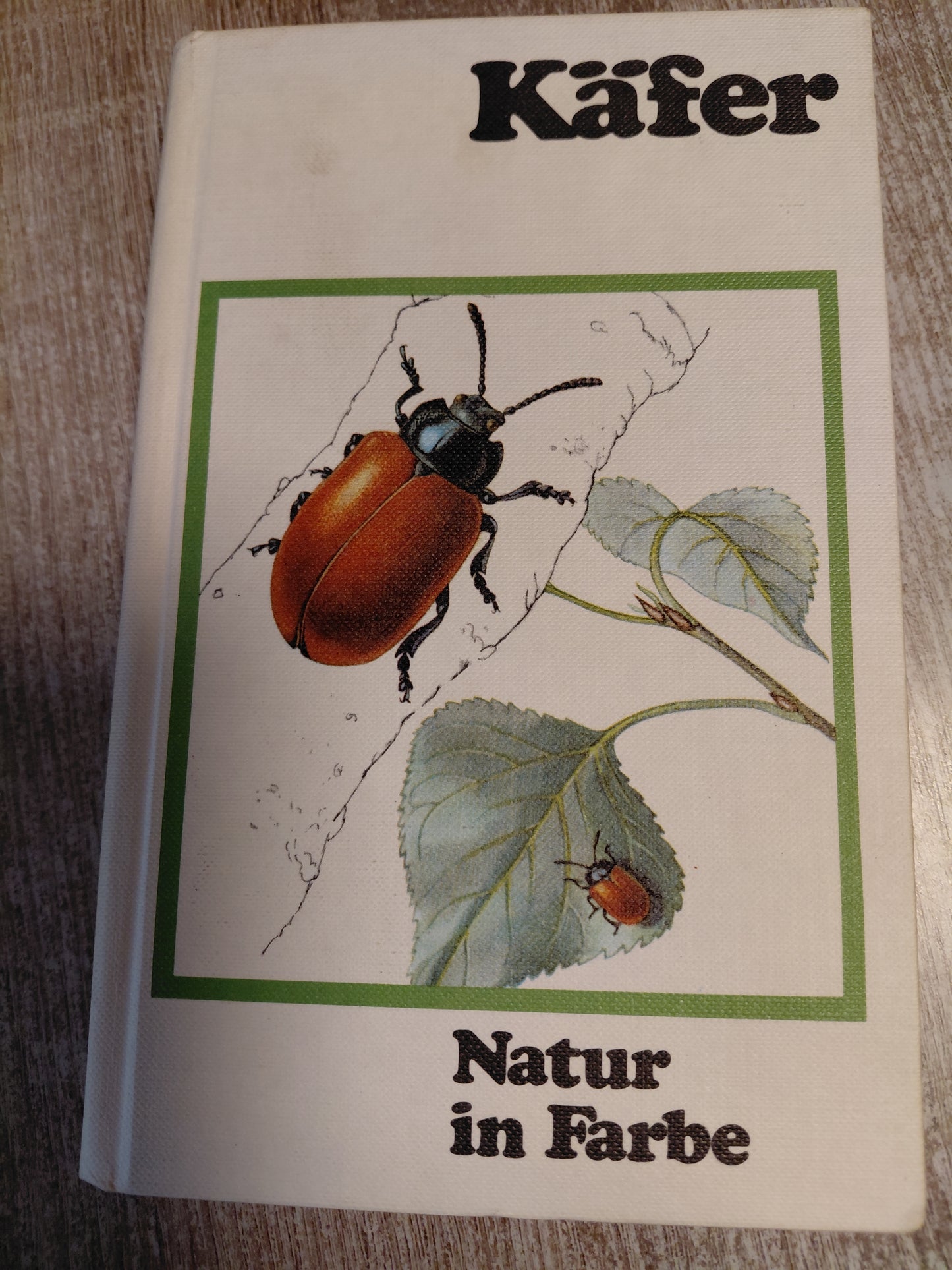 Natur in Farbe Käfer