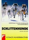 Schlittenhunde