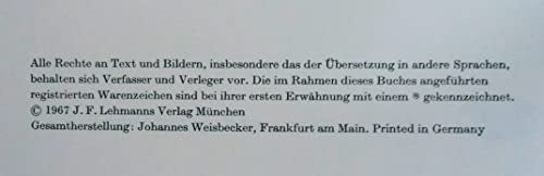 Das Bronchitische Syndrom