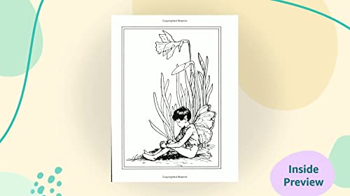 Flower Fairies of the Spring