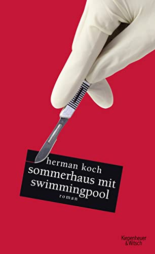Sommerhaus mit Swimmingpool: Roman
