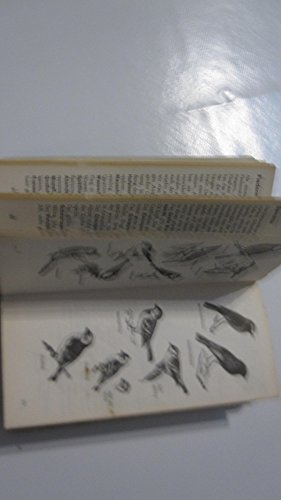 Natur um uns . Ein Wegweiser zu den Geheimnissen der Natur .