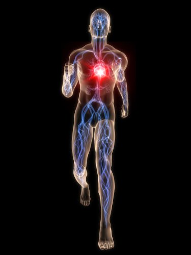 Die Schokoladenseite der Medizin