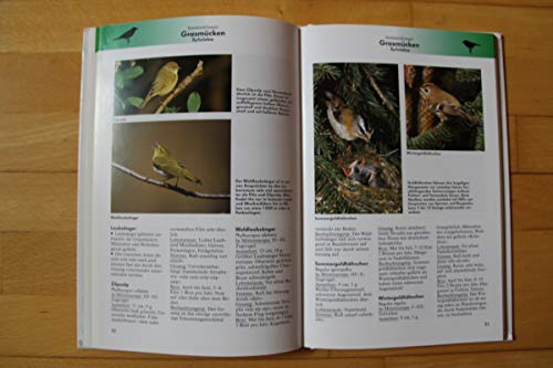 Singvögel kennenlernen, erleben, schützen