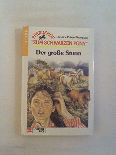 Pferdehof "Zum schwarzen Pony" / Der grosse Sturm