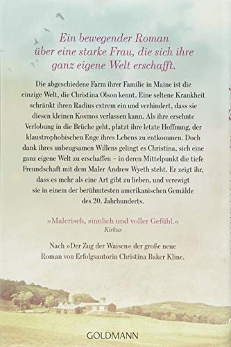 Die Farben des Himmels: Roman