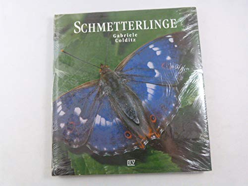 Schmetterlinge