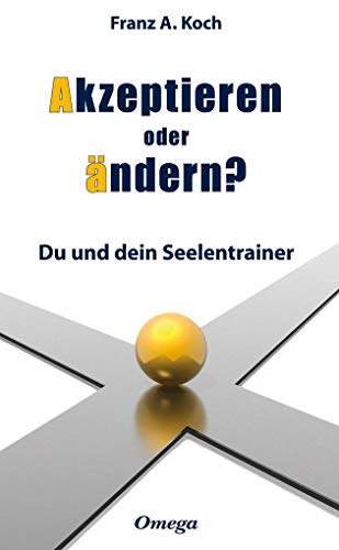 Akzeptieren oder ändern: Du und dein Seelencoach