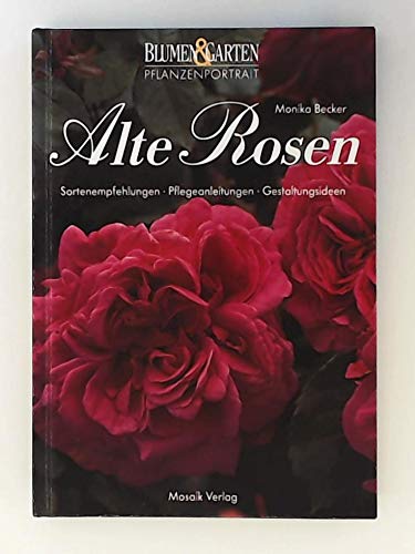 Alte Rosen: Sortenempfehlungen - Pflegeanleitungen - Gestaltungsideen
